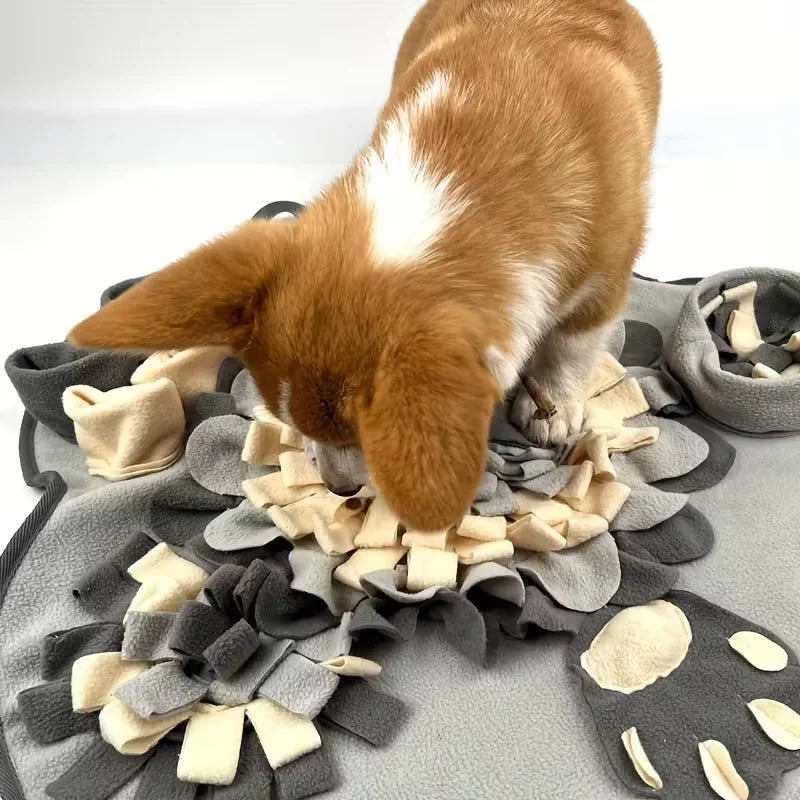 PawGenius™ Interactive Snuffle Mat & Slow Feeder