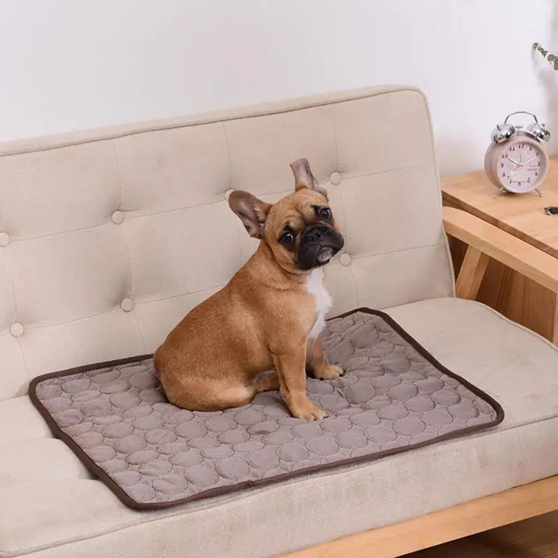 CoolPaws™  Pets Cooling Mat