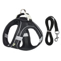 ComfortFit™ Puppy & Small Dog Harness Set
