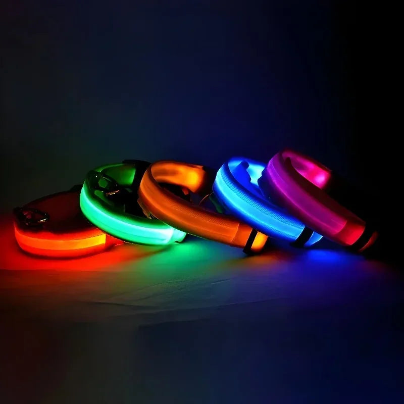 GlowGuard™ LED Safety Dog Collar – USB Rechargeable Night Visibility Collar