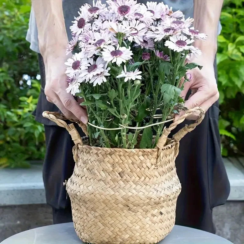 Large Hanging Plant Stand with Iron Hooks - Indoor & Outdoor Flower Pot Holder