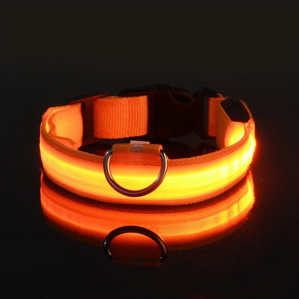 GlowGuard™ LED Safety Dog Collar – USB Rechargeable Night Visibility Collar