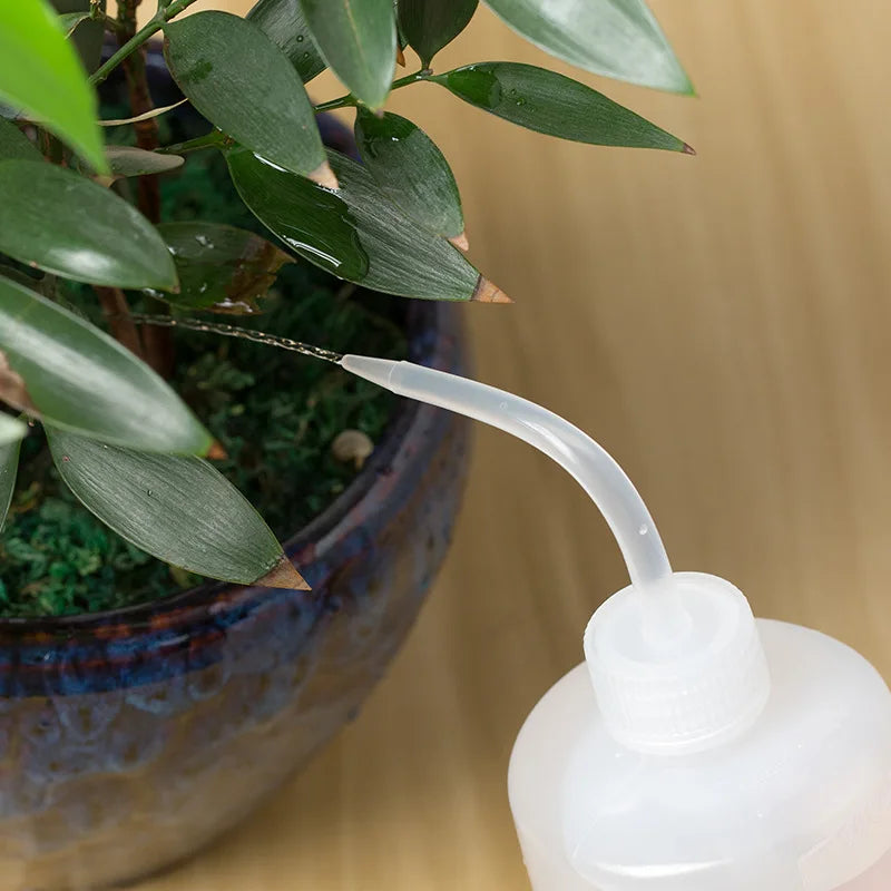 150/250/500mL Squeeze Watering Bottle with Long Spout – Precision Plant Watering Can for Succulents, Indoor Plants & Flowers