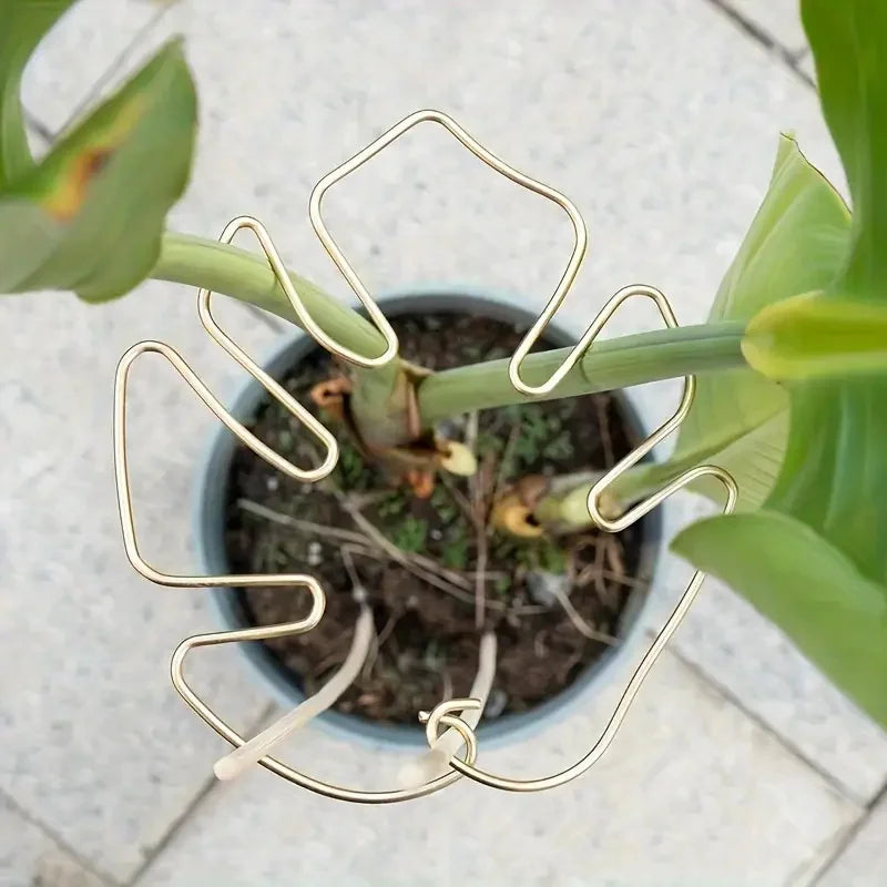 Large Hanging Plant Stand with Iron Hooks - Indoor & Outdoor Flower Pot Holder