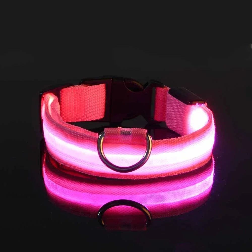 GlowGuard™ LED Safety Dog Collar – USB Rechargeable Night Visibility Collar