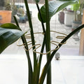 Large Hanging Plant Stand with Iron Hooks - Indoor & Outdoor Flower Pot Holder