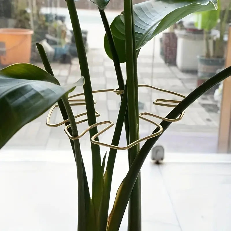 Large Hanging Plant Stand with Iron Hooks - Indoor & Outdoor Flower Pot Holder