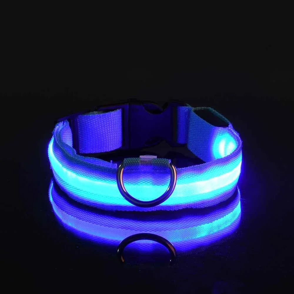 GlowGuard™ LED Safety Dog Collar – USB Rechargeable Night Visibility Collar