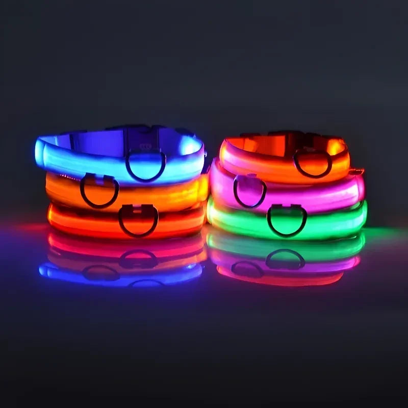GlowGuard™ LED Safety Dog Collar – USB Rechargeable Night Visibility Collar