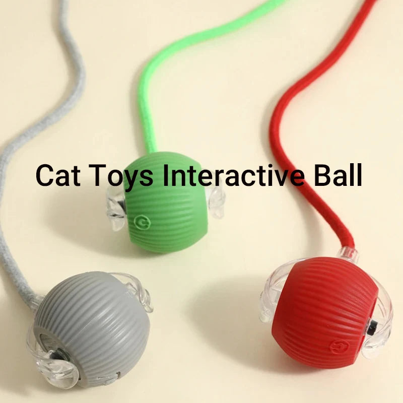 Interactive Red Tail Ball Cat Toy with Sound – 2026 Version, Wiggle & Chase Ball for Kittens & Cats