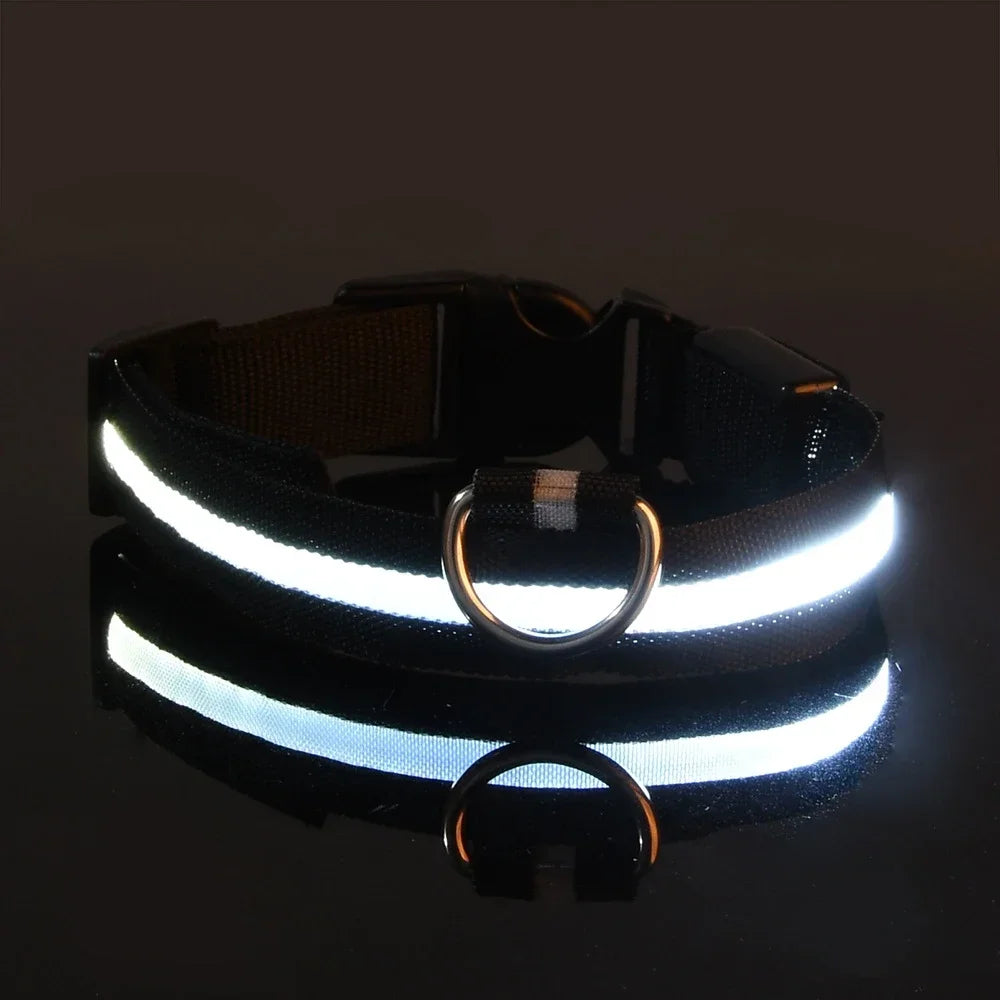 GlowGuard™ LED Safety Dog Collar – USB Rechargeable Night Visibility Collar