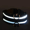 GlowGuard™ LED Safety Dog Collar – USB Rechargeable Night Visibility Collar
