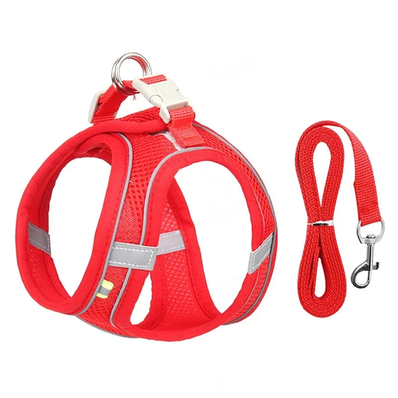 ComfortFit™ Puppy & Small Dog Harness Set