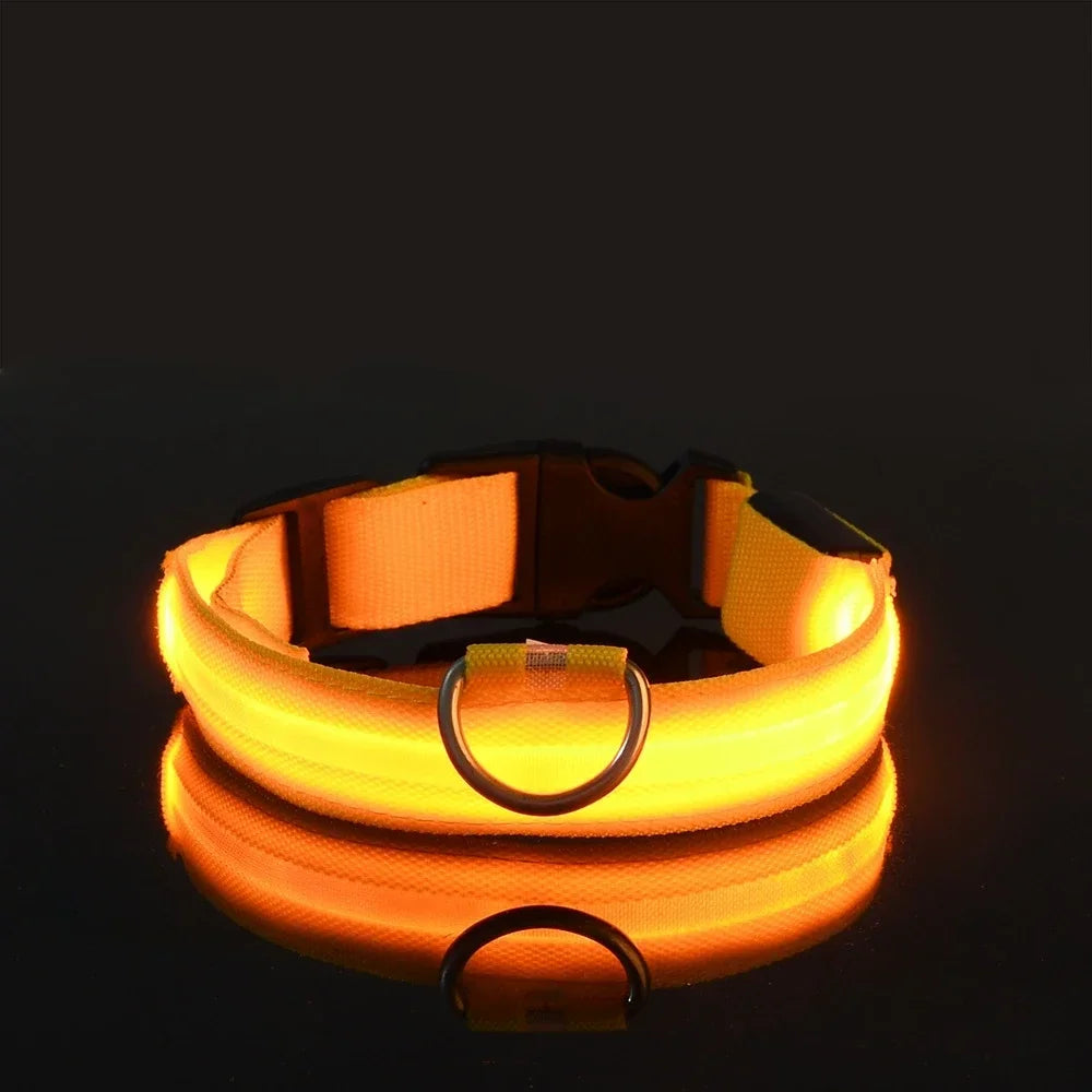GlowGuard™ LED Safety Dog Collar – USB Rechargeable Night Visibility Collar