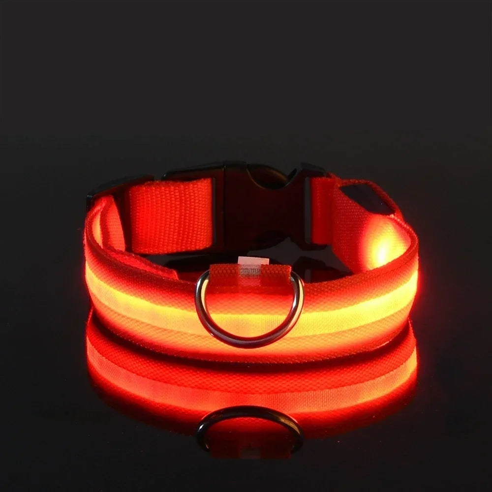 GlowGuard™ LED Safety Dog Collar – USB Rechargeable Night Visibility Collar