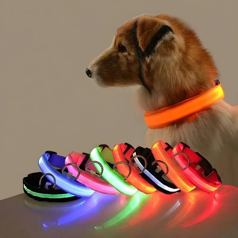 GlowGuard™ LED Safety Dog Collar – USB Rechargeable Night Visibility Collar