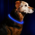 GlowGuard™ USB Rechargeable LED Dog Safety Collar
