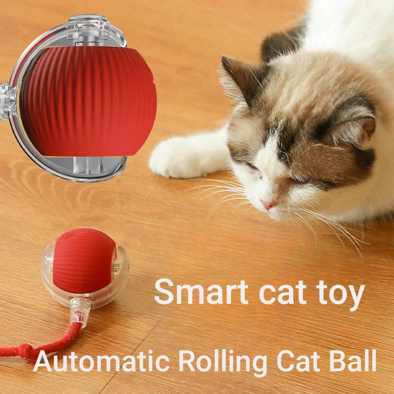 Interactive Red Tail Ball Cat Toy with Sound – 2026 Version, Wiggle & Chase Ball for Kittens & Cats