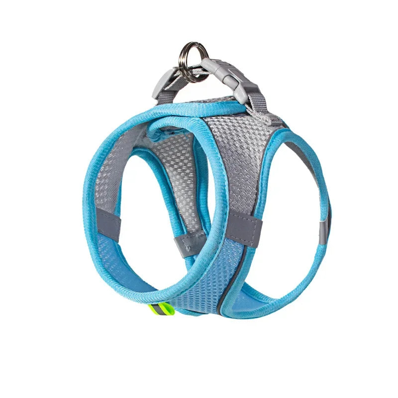 ComfortFit™ Puppy & Small Dog Harness Set