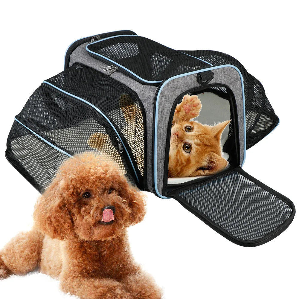 Premium Expandable Pet Travel Carrier – Soft-Sided Airline Approved Carrier for Cats & Small Dogs