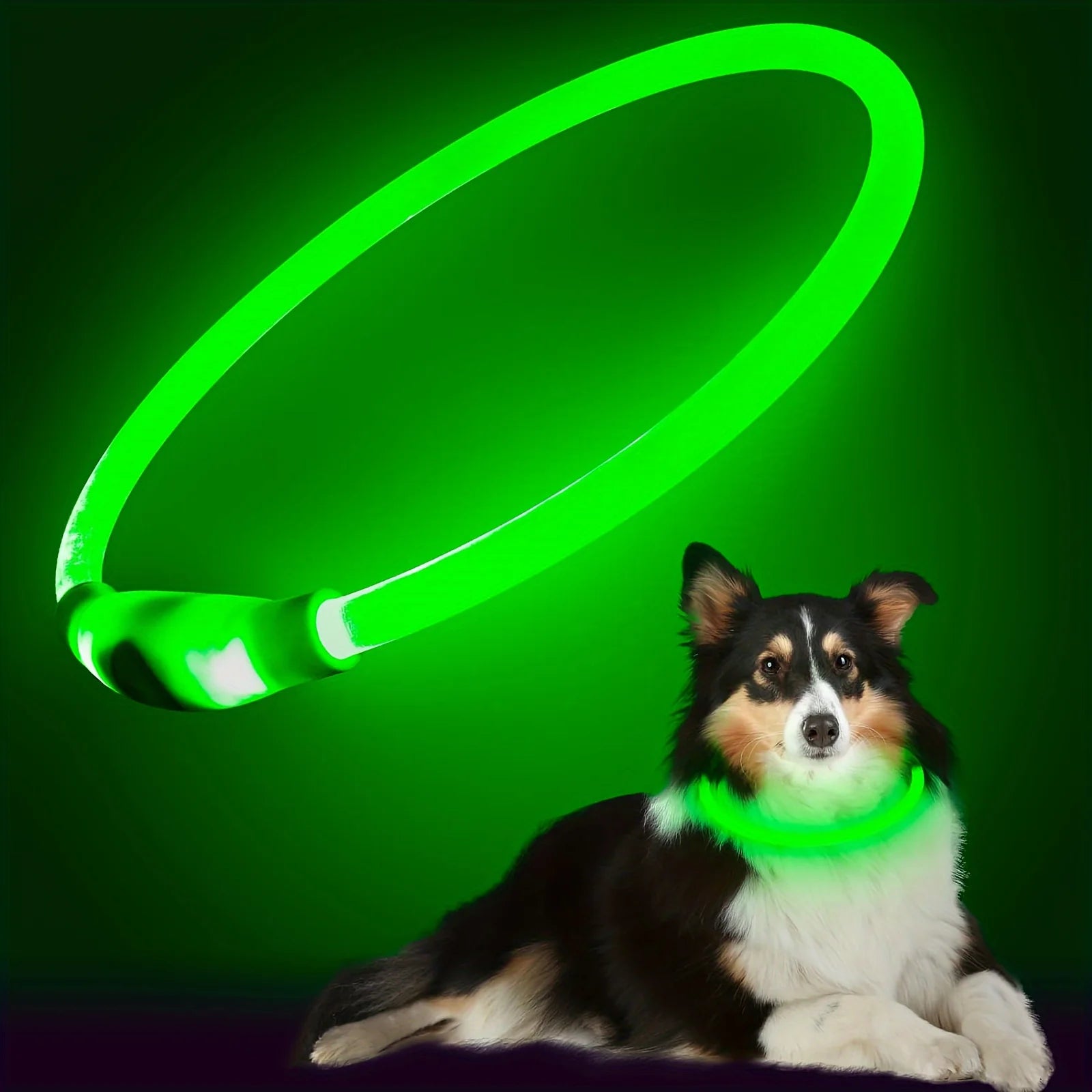 GlowGuard™ USB Rechargeable LED Dog Safety Collar