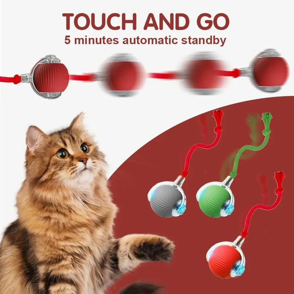 Interactive Red Tail Ball Cat Toy with Sound – 2026 Version, Wiggle & Chase Ball for Kittens & Cats
