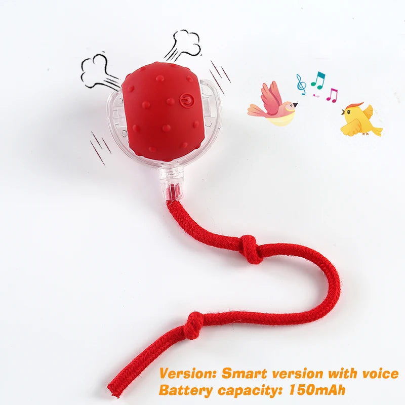 Interactive Red Tail Ball Cat Toy with Sound – 2026 Version, Wiggle & Chase Ball for Kittens & Cats
