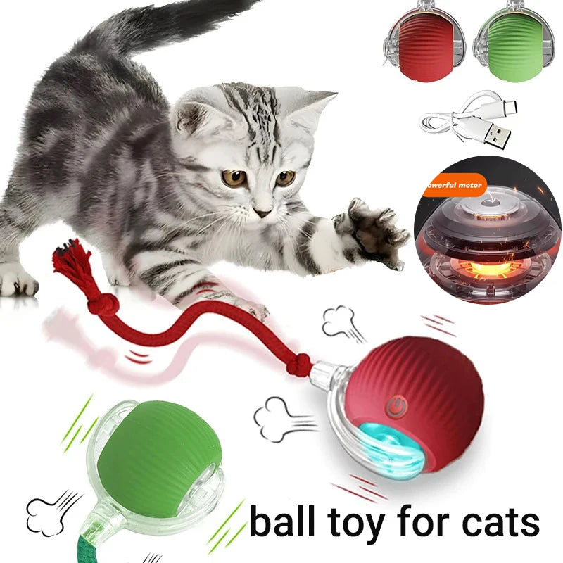 Interactive Red Tail Ball Cat Toy with Sound – 2026 Version, Wiggle & Chase Ball for Kittens & Cats