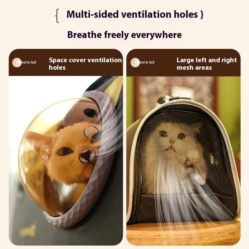 Luxury Bubble Pet Carrier for Small Dogs & Cats