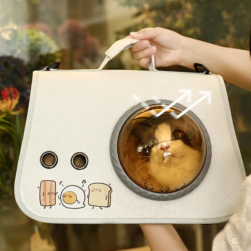 Luxury Bubble Pet Carrier for Small Dogs & Cats