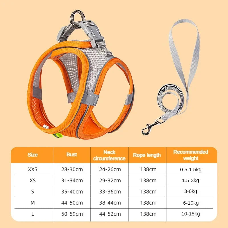 ComfortFit™ Puppy & Small Dog Harness Set