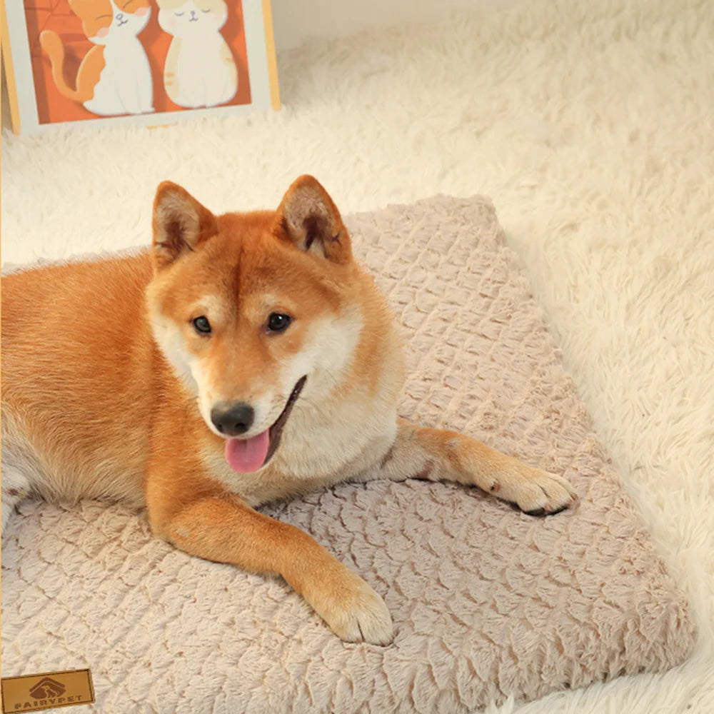 CloudRest™ 3D Foam Orthopedic Waterproof Dog Bed