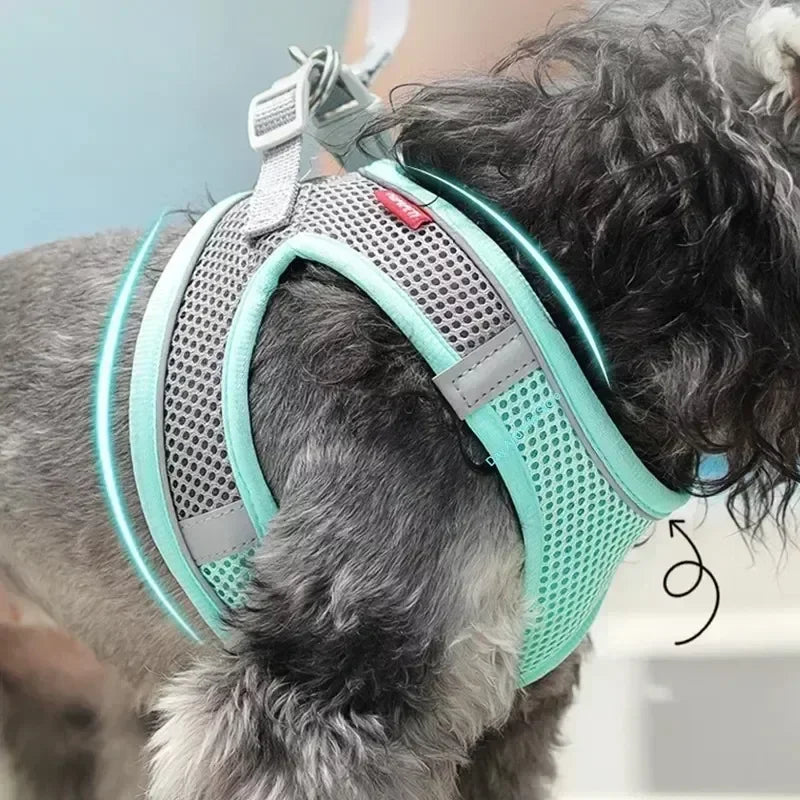 ComfortFit™ Puppy & Small Dog Harness Set