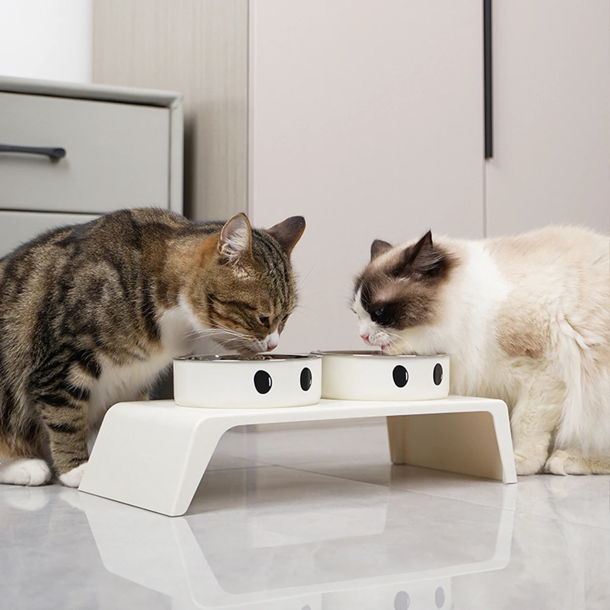 Elevated Pet Feeder with Double Stainless Steel Bowls