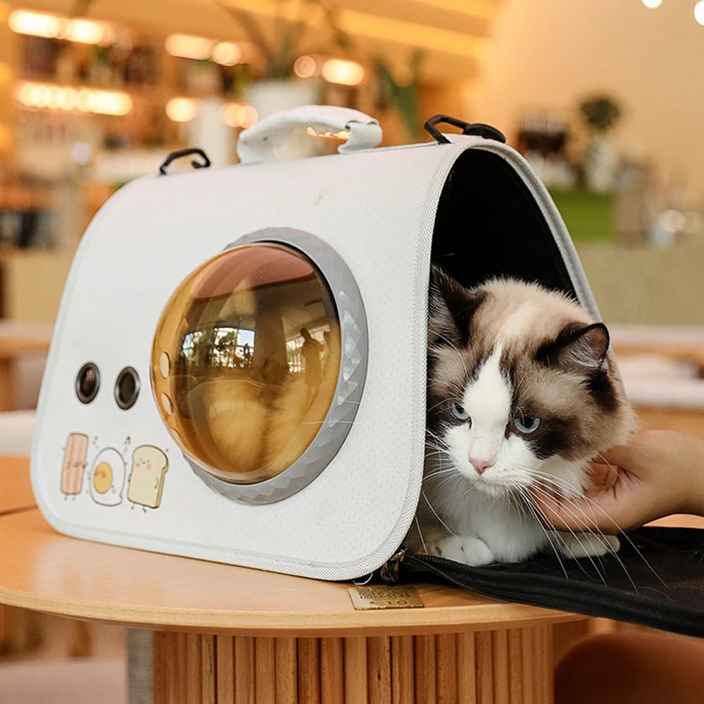 Luxury Bubble Pet Carrier for Small Dogs & Cats