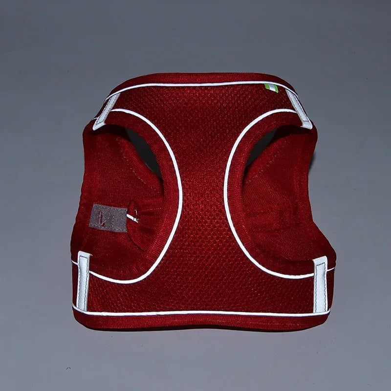 ComfortFit™ Puppy & Small Dog Harness Set
