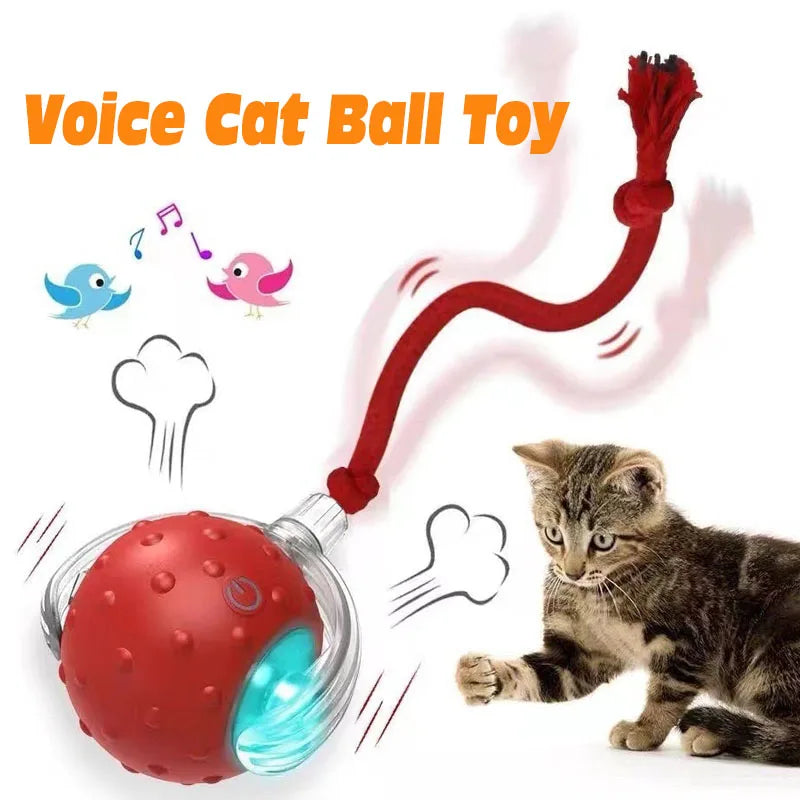 Interactive Red Tail Ball Cat Toy with Sound – 2026 Version, Wiggle & Chase Ball for Kittens & Cats