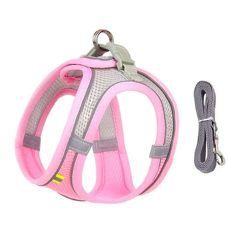 ComfortFit™ Puppy & Small Dog Harness Set