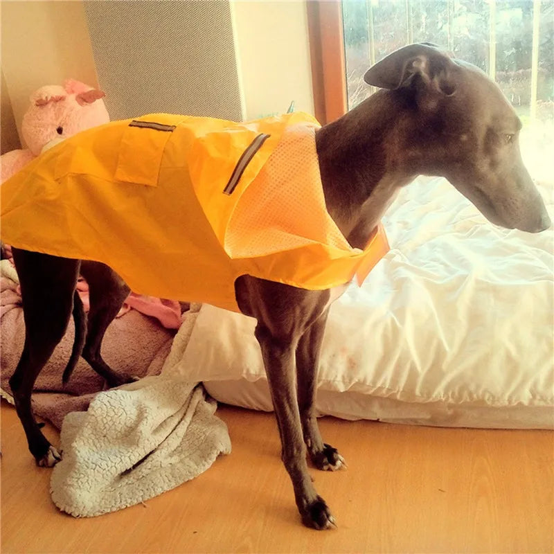 RainShield™ Waterproof Dog Raincoat – Reflective Hooded Rain Jacket for Small, Medium & Large Dogs