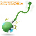 Interactive Red Tail Ball Cat Toy with Sound – 2026 Version, Wiggle & Chase Ball for Kittens & Cats