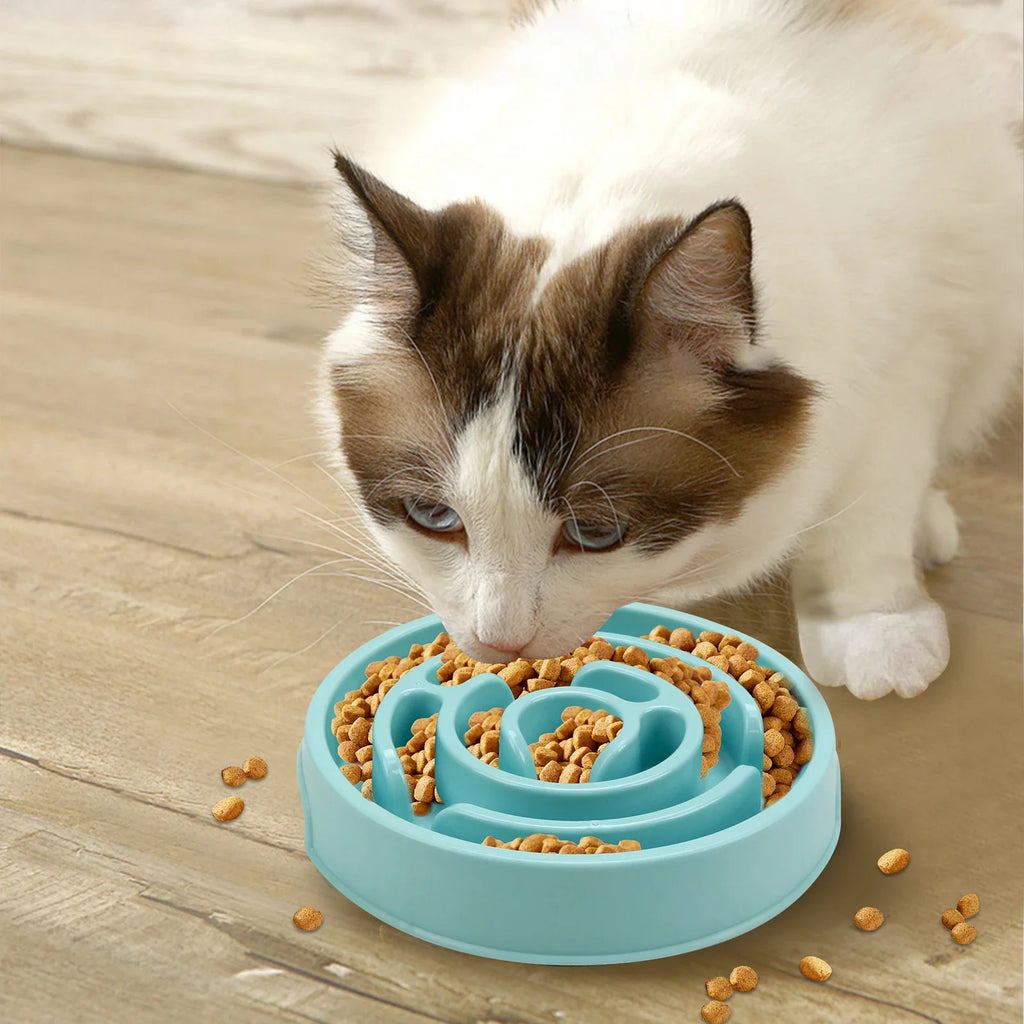 SlowPace™ Slow Feeder Dog Bowl