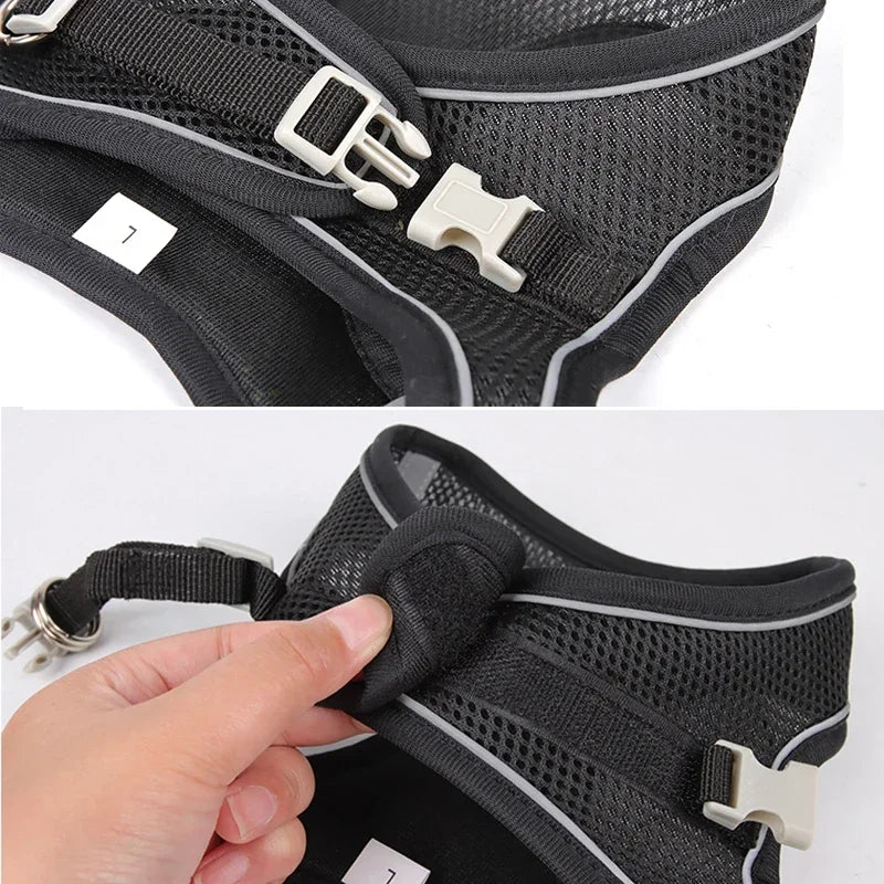 ComfortFit™ Puppy & Small Dog Harness Set