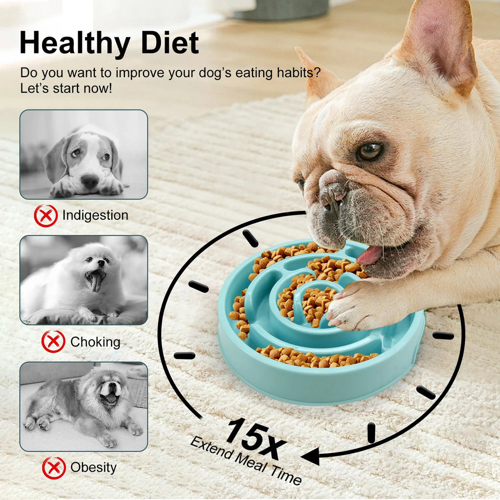 SlowPace™ Slow Feeder Dog Bowl