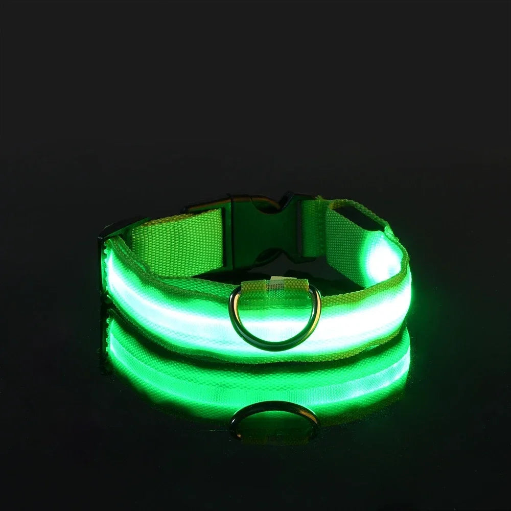 GlowGuard™ LED Safety Dog Collar – USB Rechargeable Night Visibility Collar