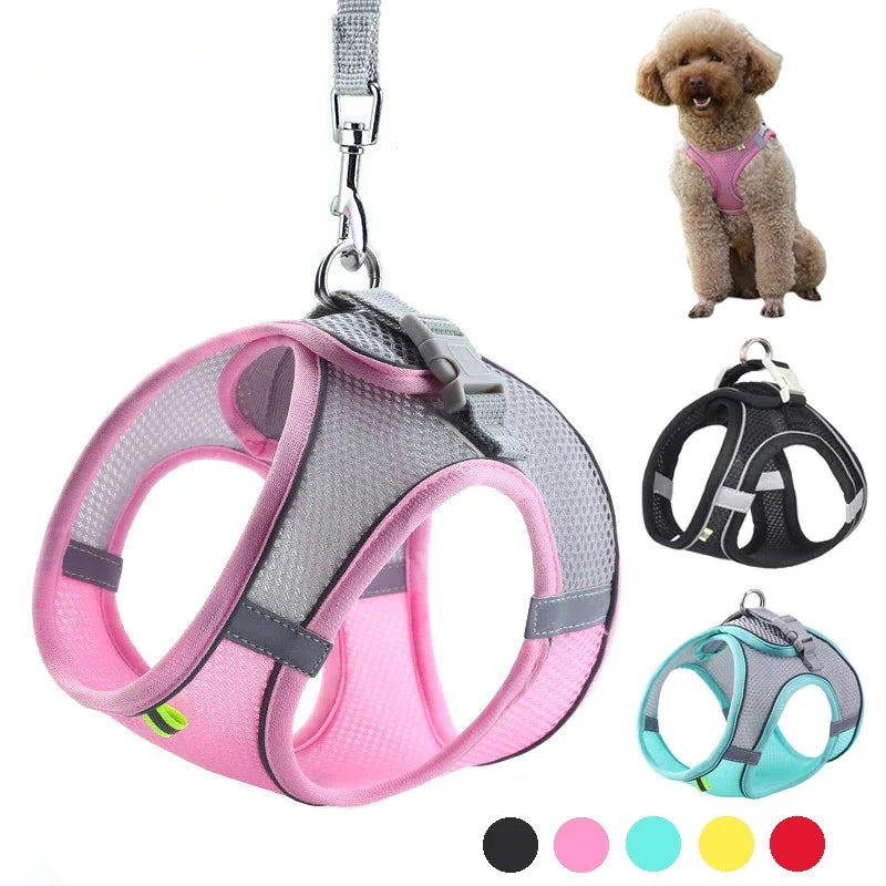 ComfortFit™ Puppy & Small Dog Harness Set