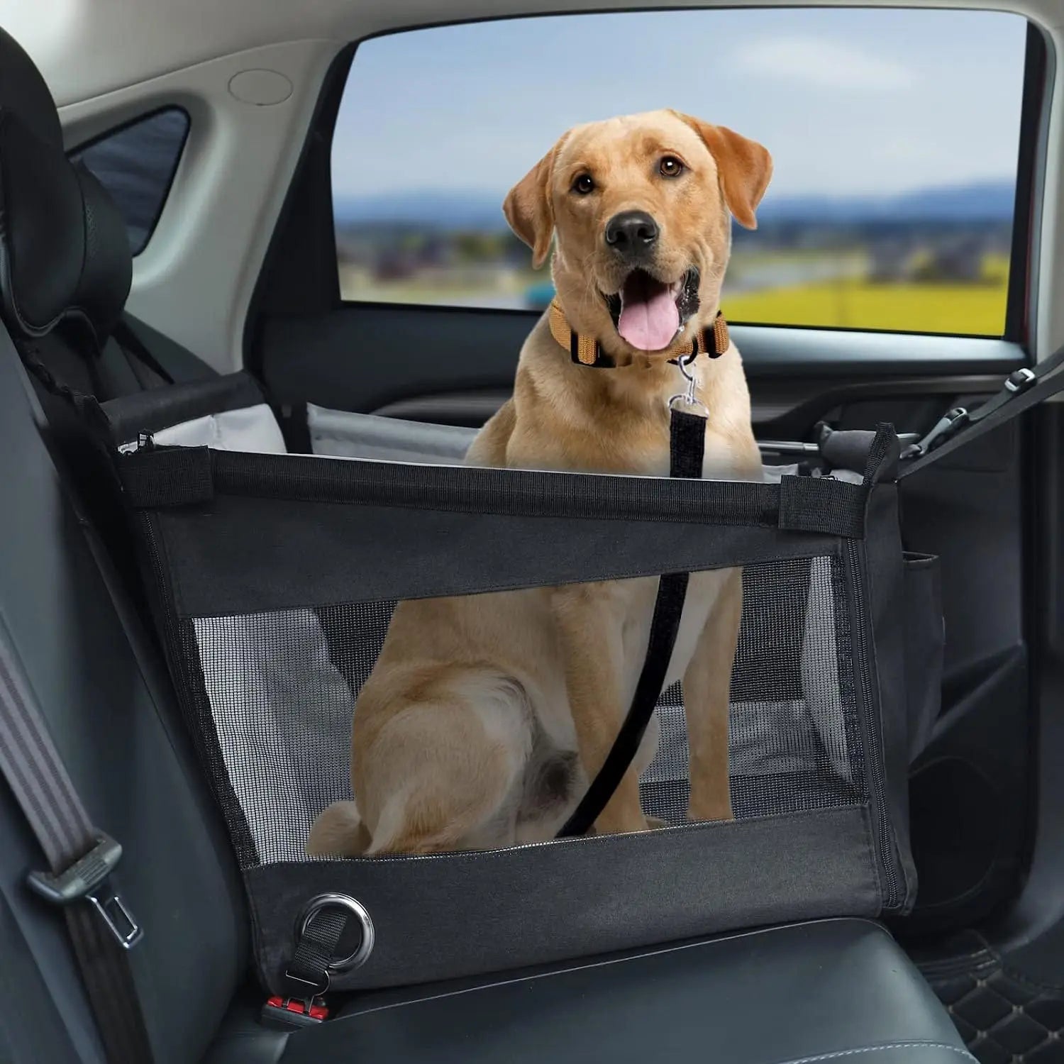 Premium Waterproof Dog Car Seat – Secure Travel Booster with Safety Leash for Small & Medium Dogs