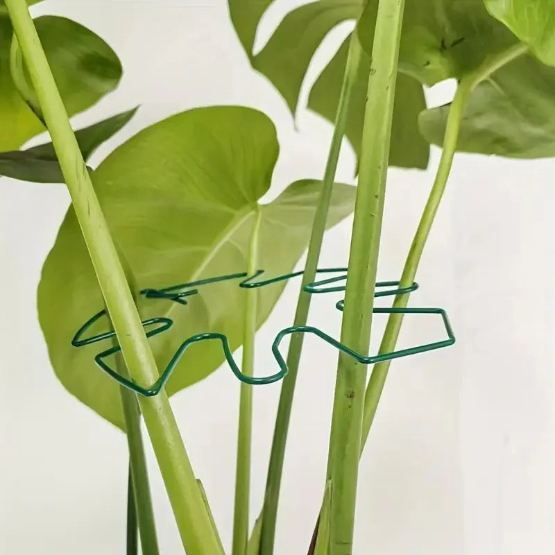 Large Hanging Plant Stand with Iron Hooks - Indoor & Outdoor Flower Pot Holder