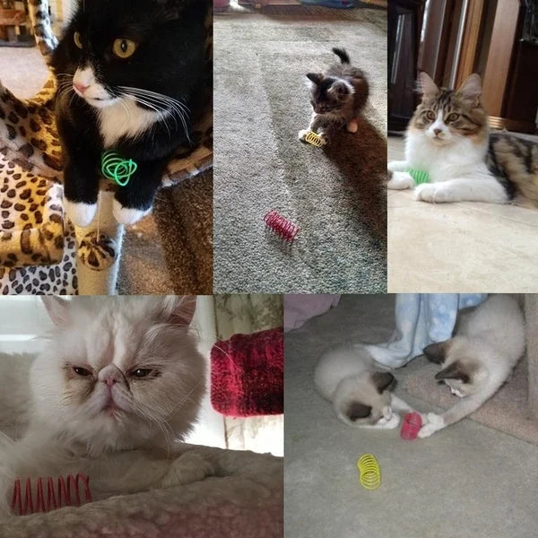 Interactive Cat Spring Toy Set (4–20 Pieces)